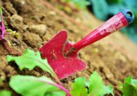 gardening, garden, blade, naturalne nawożenie roślin