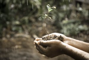 hands, macro, nature, naturalne sposoby nawożenia